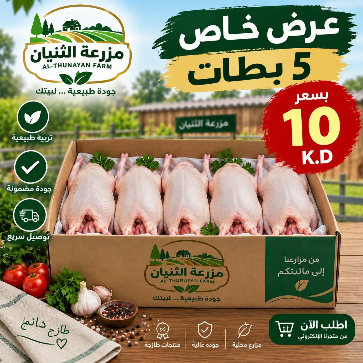 Box of 5 ducks